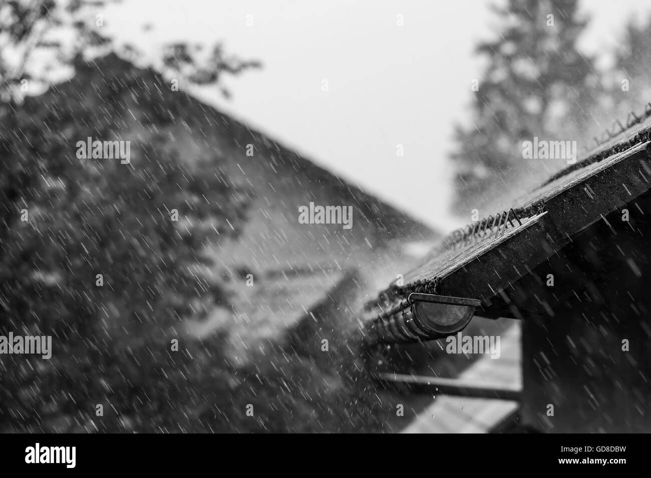 La caduta di pioggia su un tetto. Foto Stock