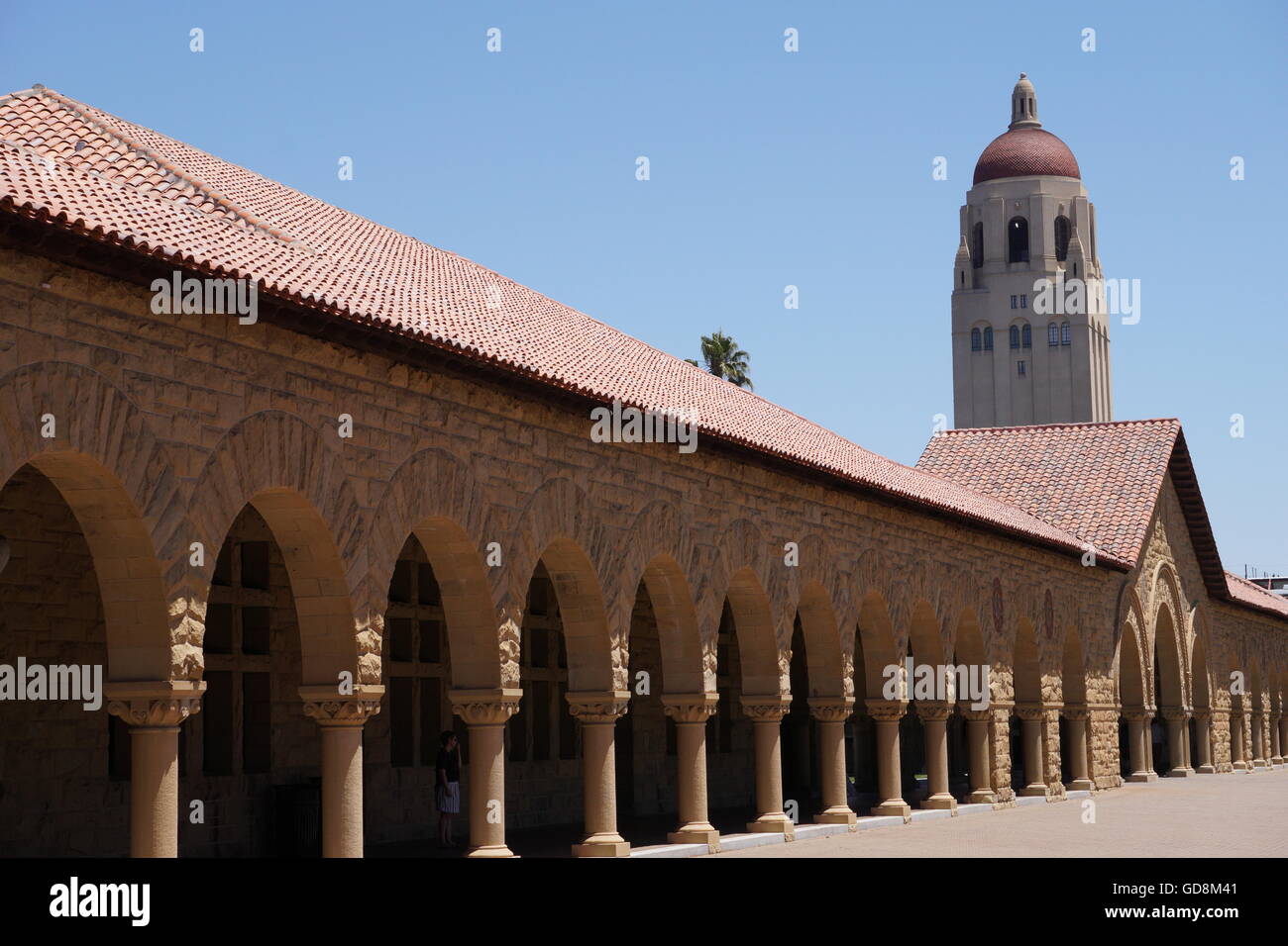 Stanford University - Le colonne all'interno della principale e quad Hoover Tower - solo uso editoriale Foto Stock