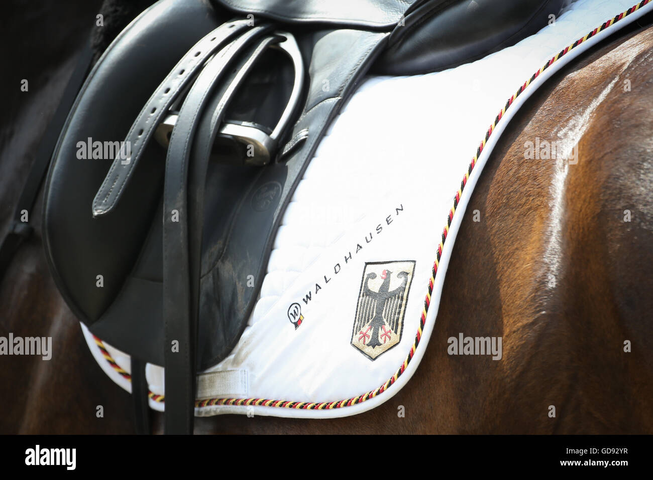 Aachen, Germania. 14 Luglio, 2016. L'emblema della Germania è stampato sulla sella pad del tedesco dressage rider Dorothee Schneider del cavallo della 'Showtime" al concorso dressage Grand Prix CDIO del torneo equestre chio di Aachen, Germania, 14 luglio 2016. Foto: Friso Gentsch/dpa/Alamy Live News Foto Stock