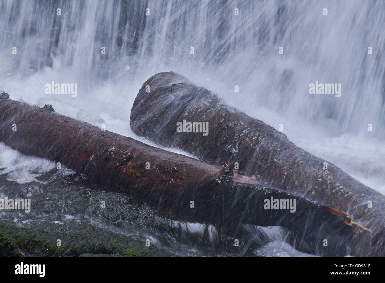 Espanso di acqua che cade sui tronchi Foto Stock