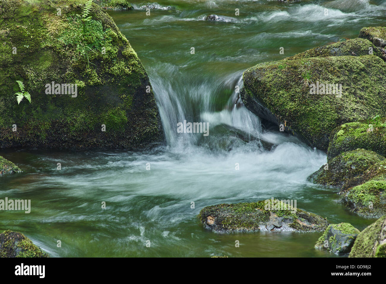 Mountain acqua di un fiume che scorre attraverso il verde muschio massi di pietre Foto Stock