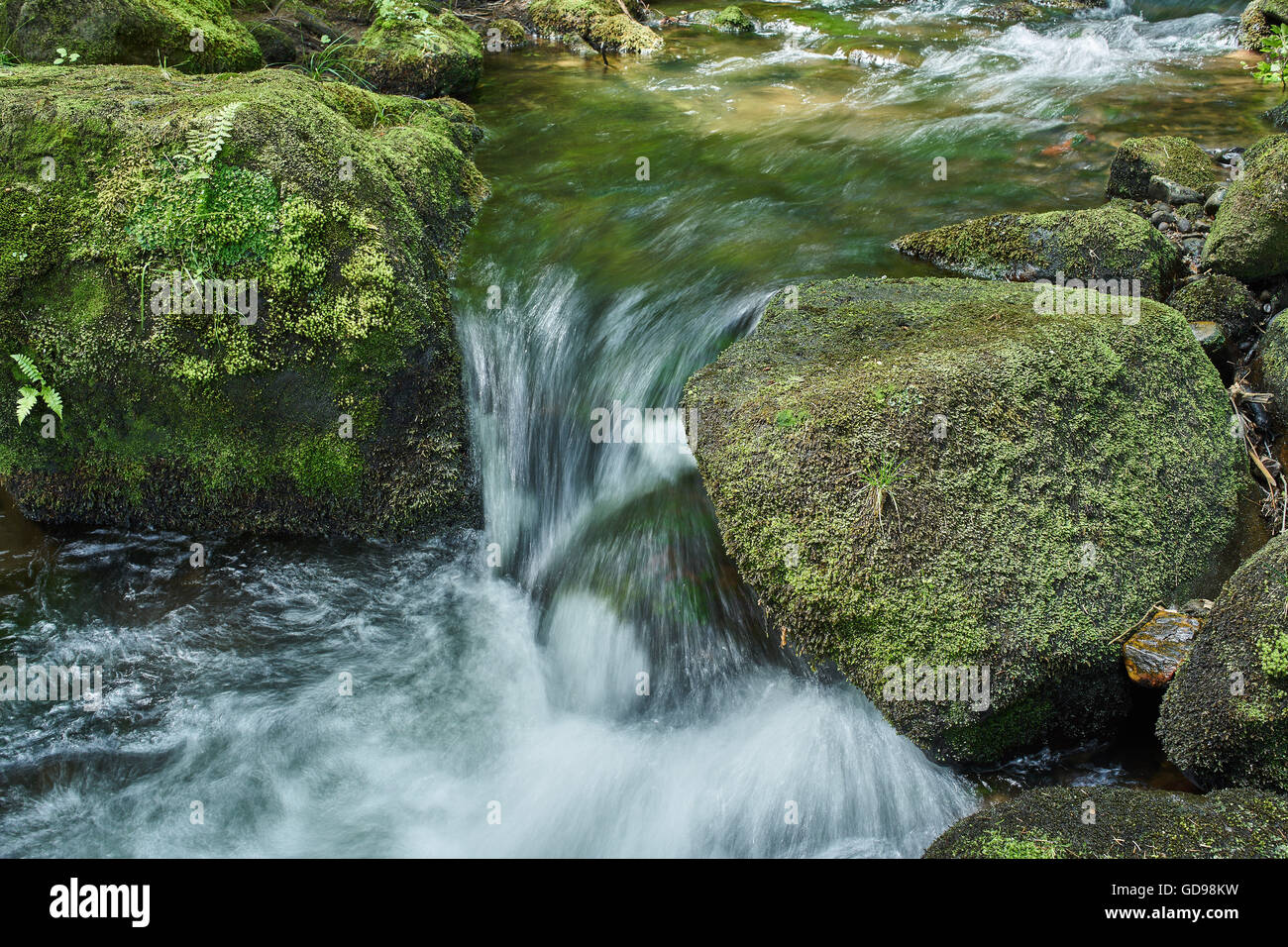 Mountain acqua di un fiume che scorre attraverso il verde muschio massi di pietre Foto Stock