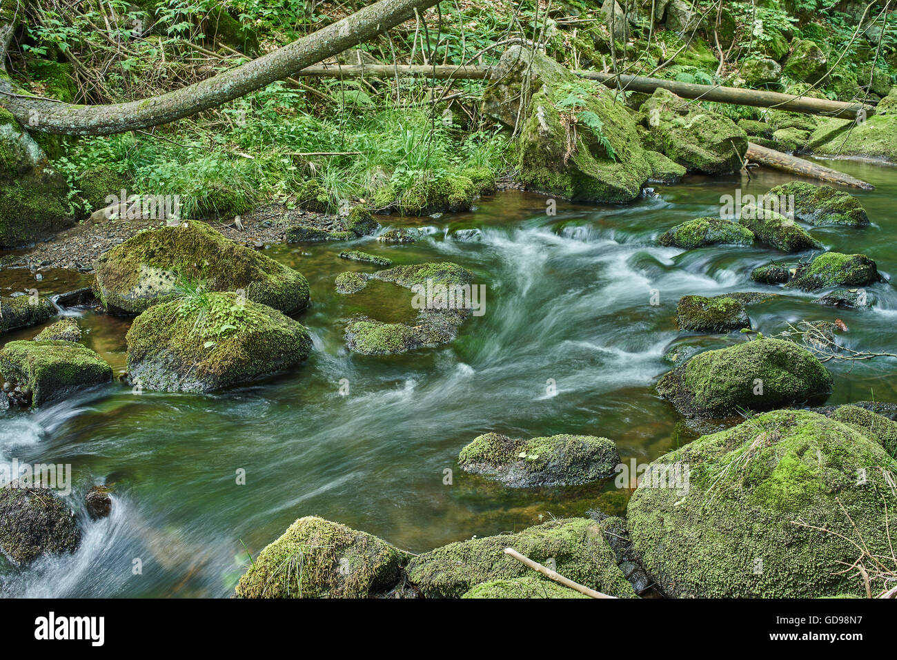Fiume di montagna in estate verde muschio massi di pietre logs acqua corrente Foto Stock