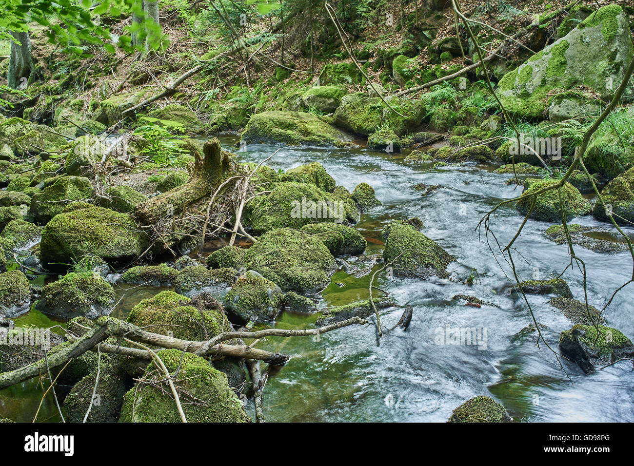 Fiume di montagna in estate verde muschio massi di pietre logs acqua corrente Foto Stock