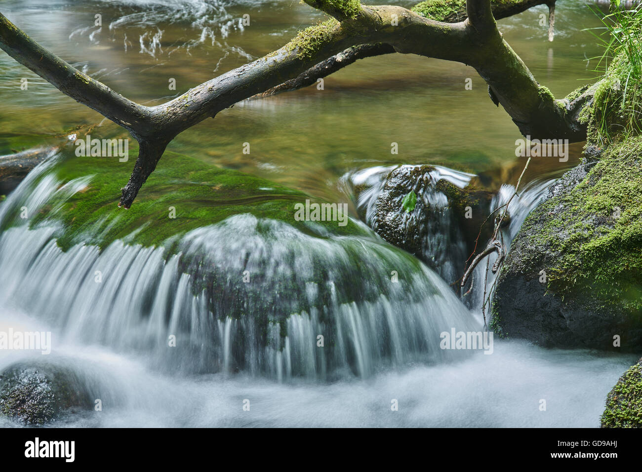 Mountain acqua di un fiume che scorre attraverso il verde muschio massi di pietre Foto Stock