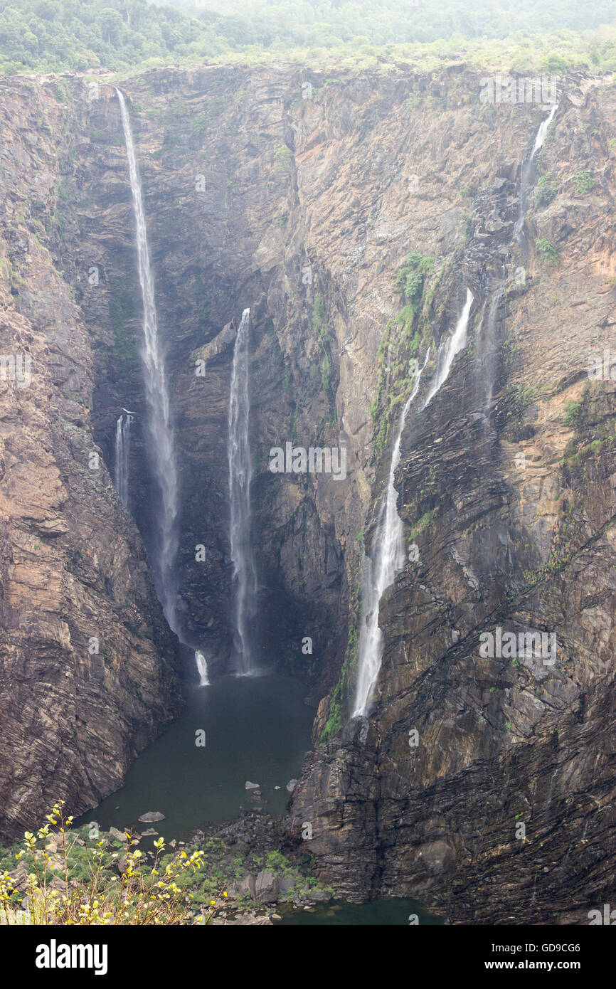 Jog Falls, Gerosoppa cade o Joga Falls (ಜೋಗ ಜಲಪಾತ) è la seconda cascata più alta in India si trova nei pressi di Sagara taluk Karnataka Foto Stock