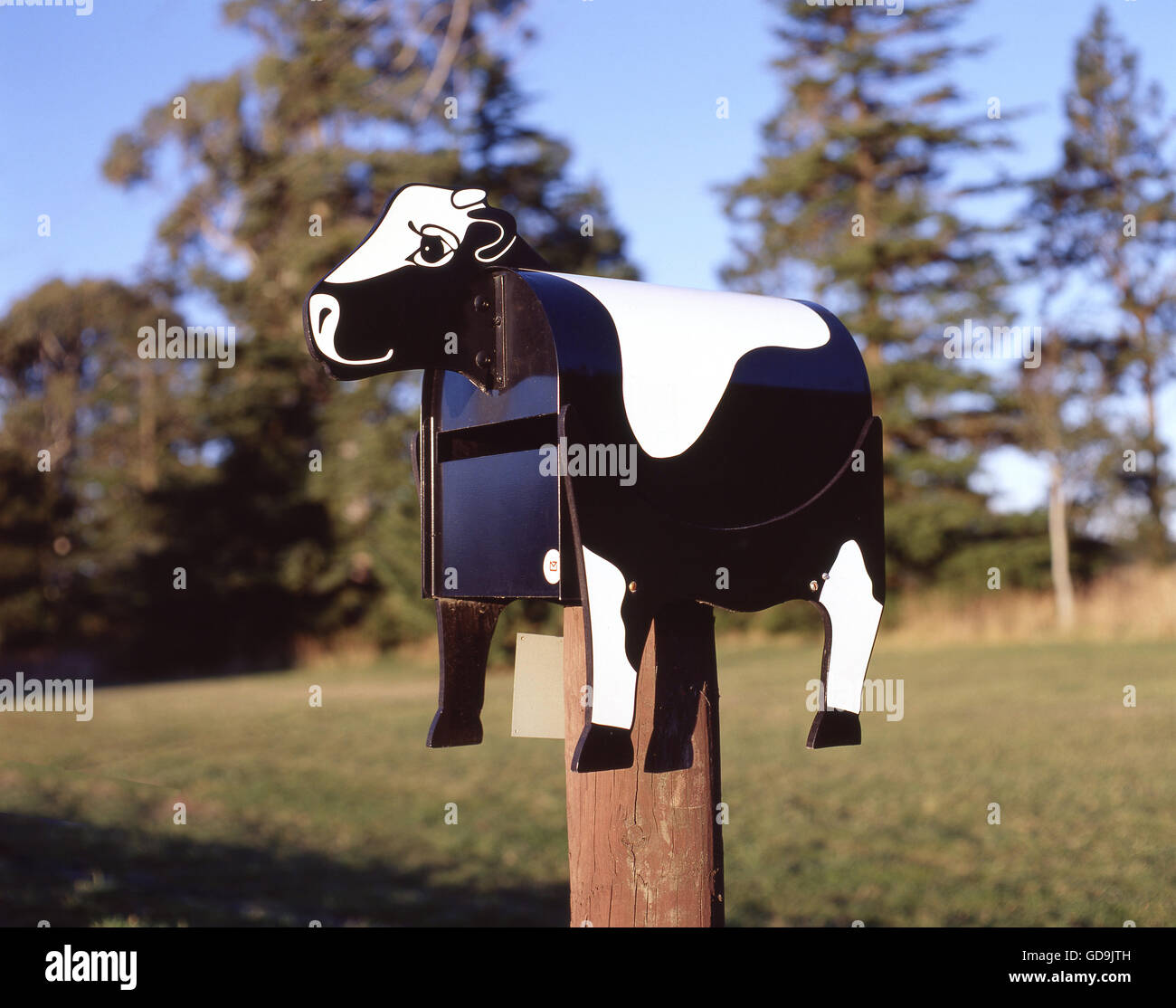 Novità di vacca letter box a farm gate, Rakaia, Canterbury, Isola del Sud, Nuova Zelanda Foto Stock