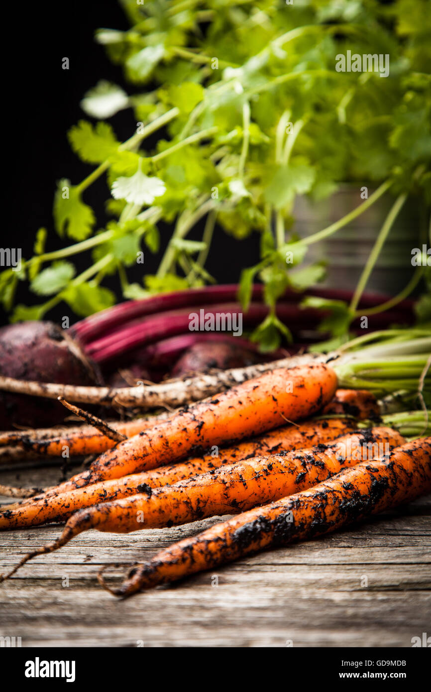 Fresche verdure organiche Foto Stock