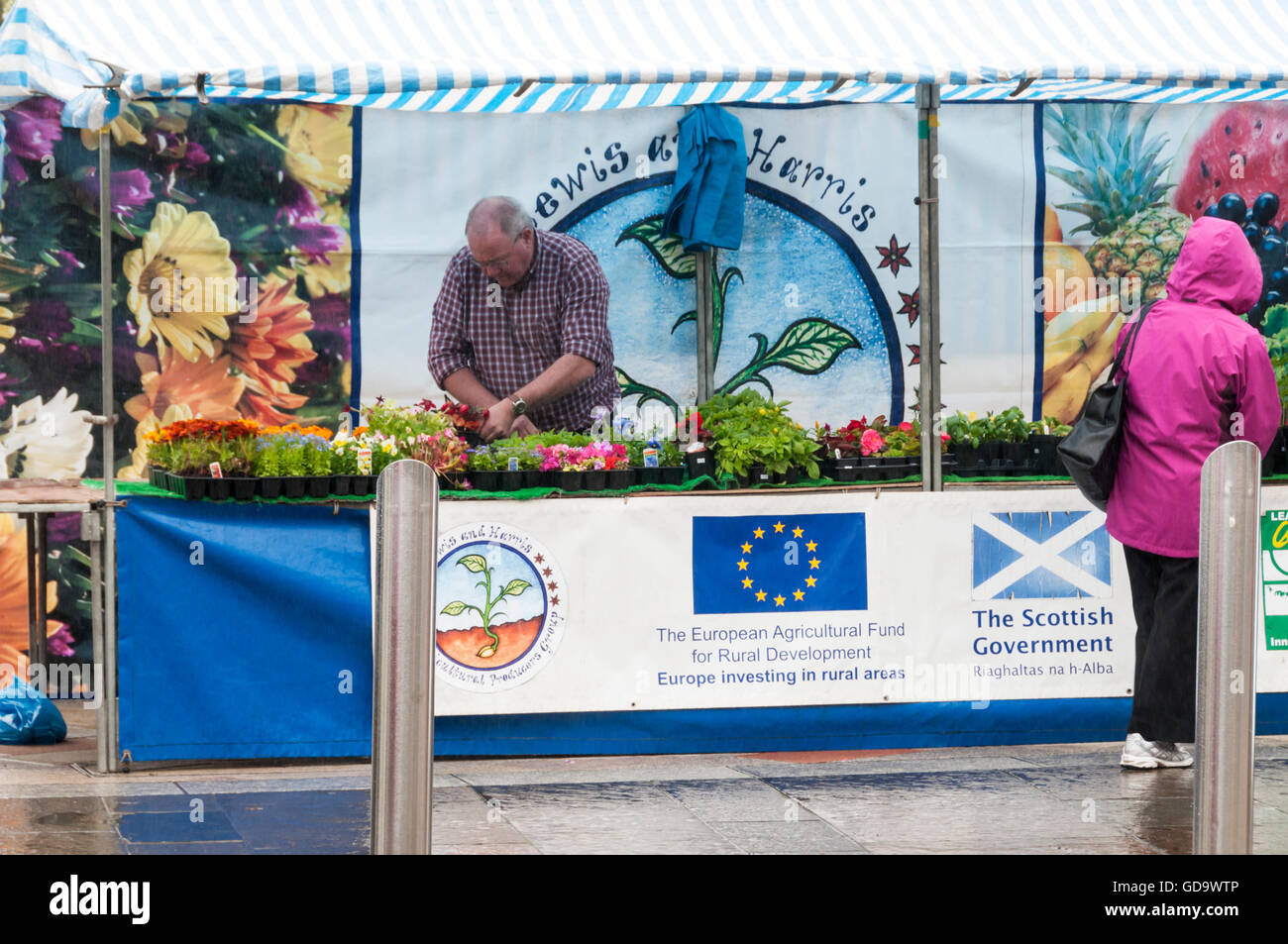 Bandiera europea o insegne UE e firmare per il Fondo europeo agricolo per lo sviluppo rurale in una fase di stallo sul mercato di Stornoway sull'isola di Lewis. Foto Stock