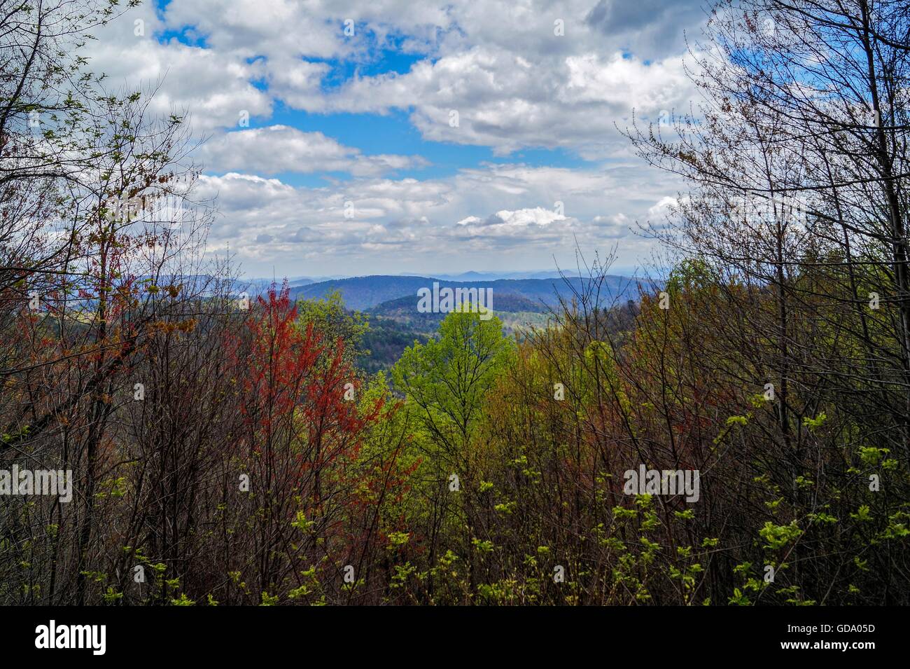 Whitewater Falls, North Carolina, Stati Uniti d'America. Foto Stock