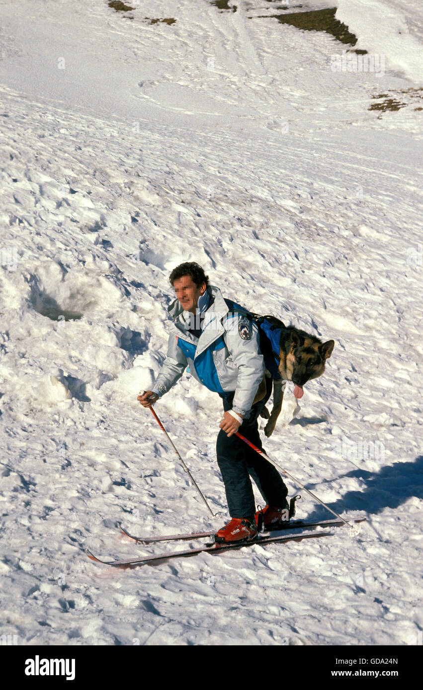 Pastore Tedesco cane, uomo una formazione Mountain Rescue Dog dopo la valanga, vicino a Briancon nel Sud Est della Francia Foto Stock
