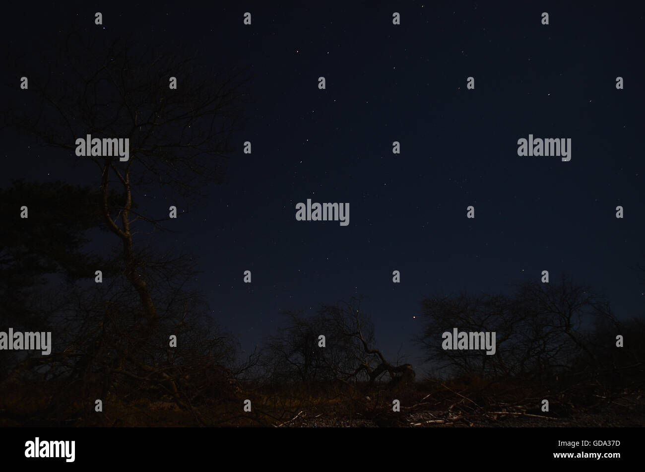 Ansa sky con il "Big Dipper' - parte di coda dell'Orsa Maggiore star costellazione. Foto Stock