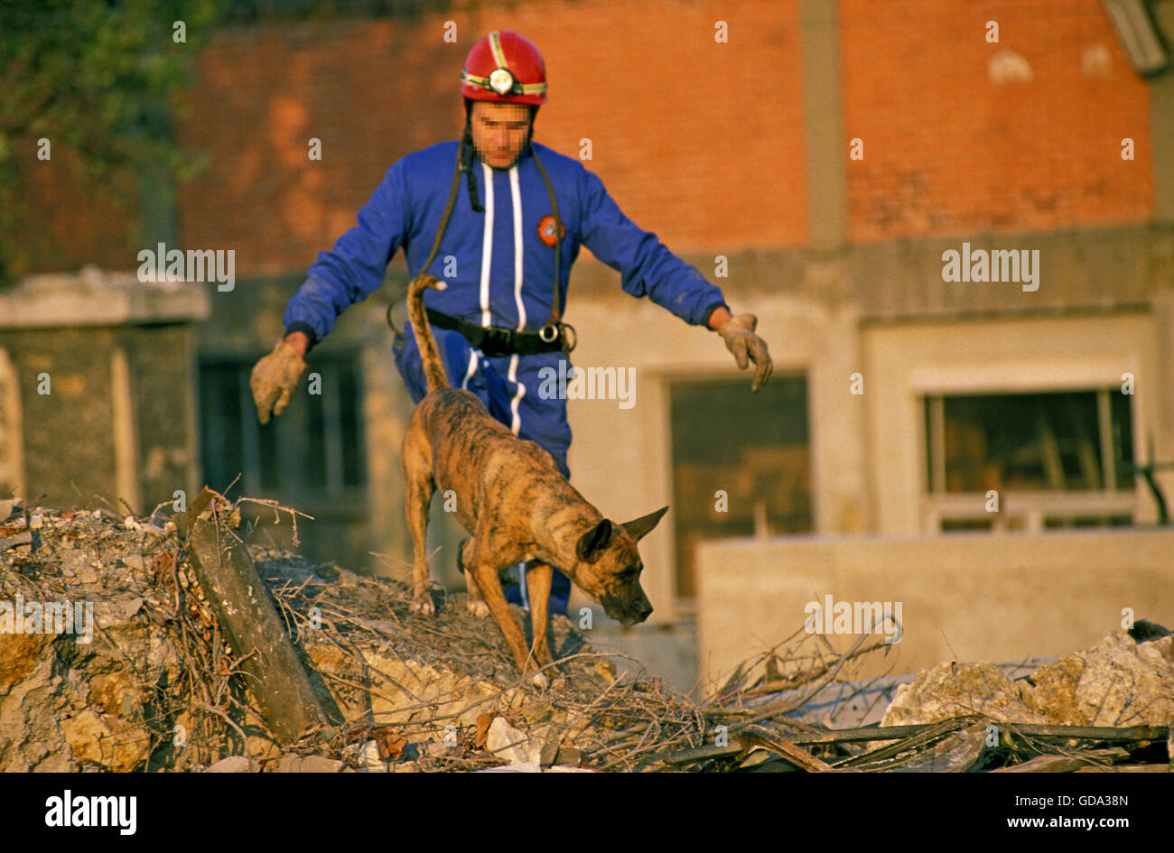 L'uomo la formazione di un cane di salvataggio dopo un evento disastroso terremoto Foto Stock