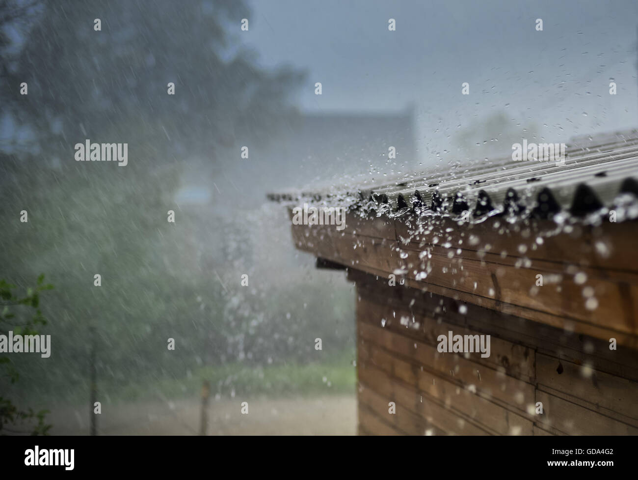 Uva e fragole su uno sfondo blu di legno rustico Foto Stock