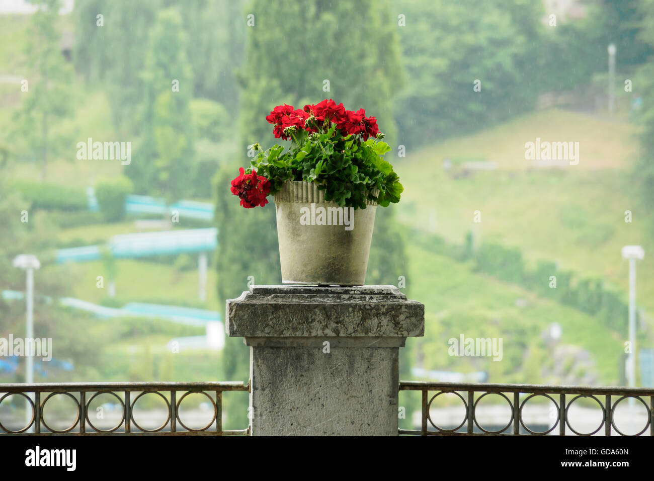 Decorate il vaso portafiori posto sul montante con raindrop in background. Foto Stock