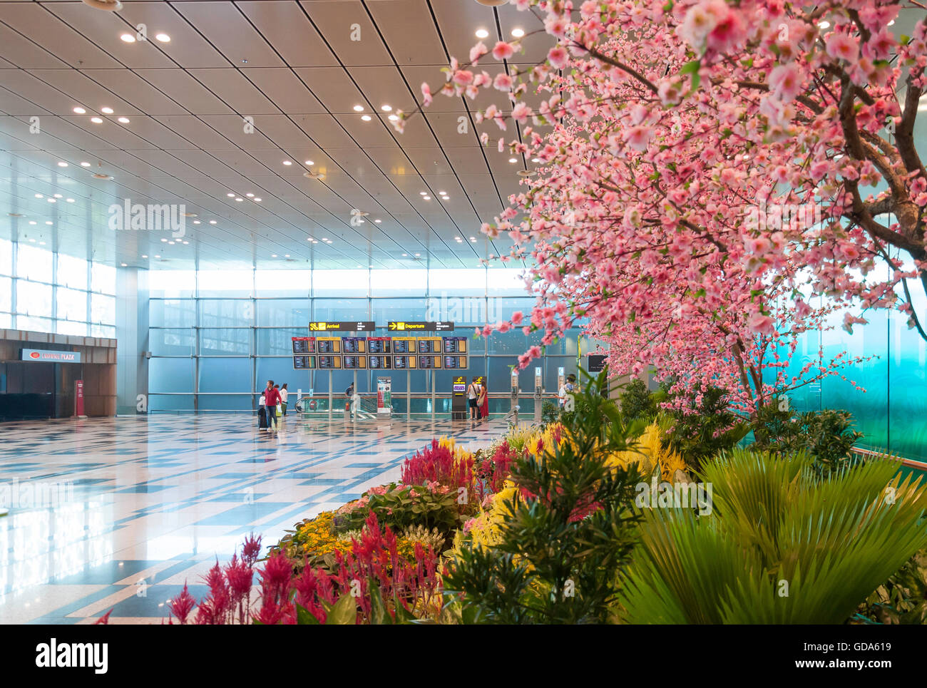 Foto Giardino nel Terminal 2 dell'Aeroporto Changi di Singapore Changi,, Singapore Foto Stock