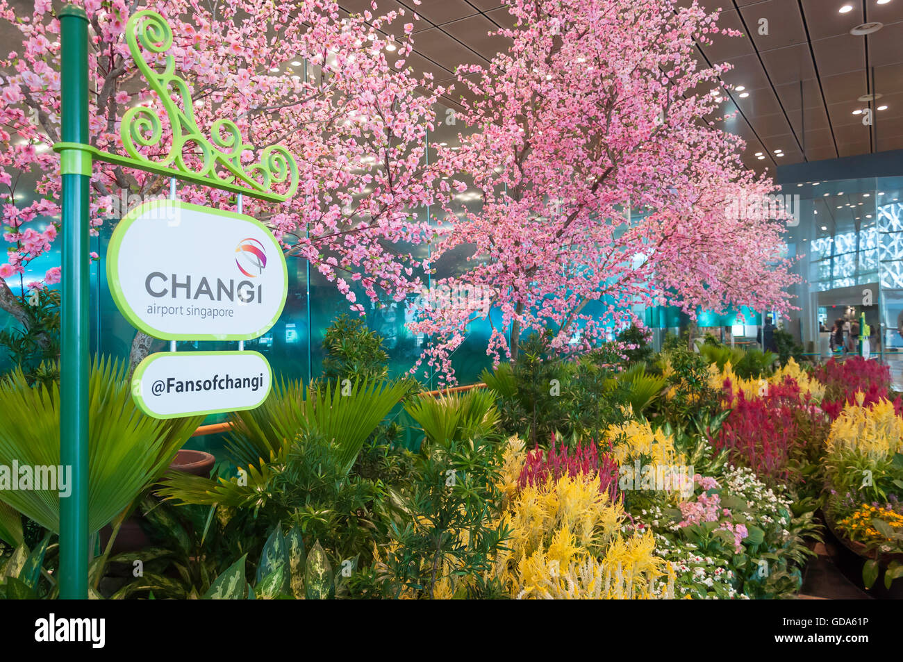 Foto Giardino nell'Aeroporto Changi di Singapore Changi,, Singapore Foto Stock