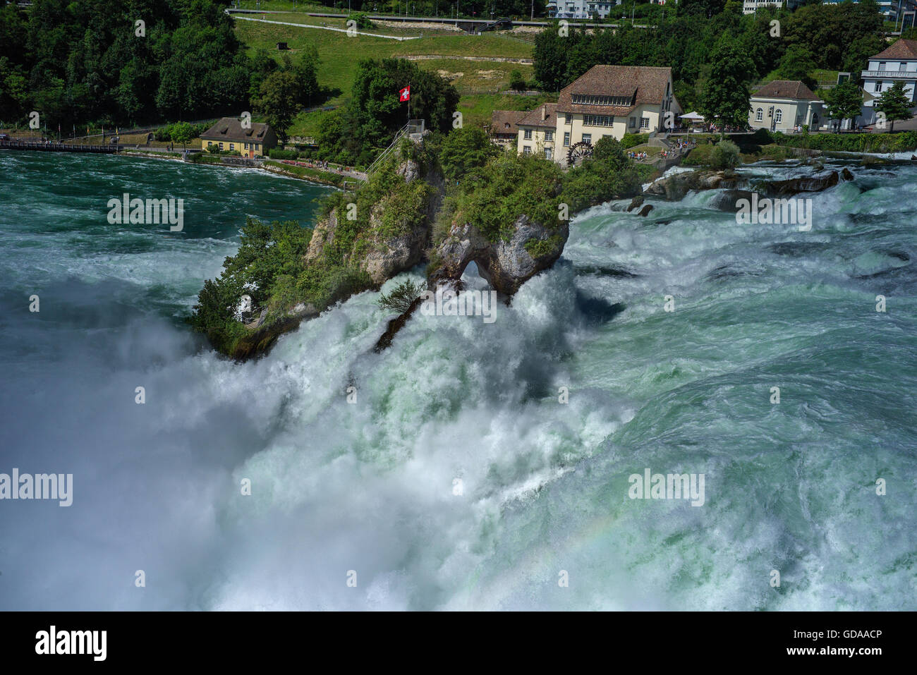 La Svizzera. Rheinfall Cascate del Reno luglio 2016Le cascate del Reno è la cascata più grande in Europa. Foto Stock