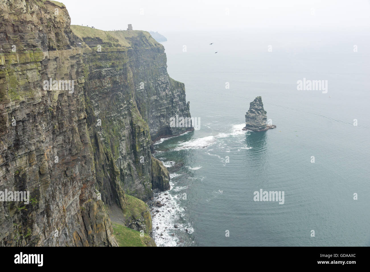 Irlanda, County Clare, scogliere di Moher, roccia ripida affacciata sul mare Foto Stock