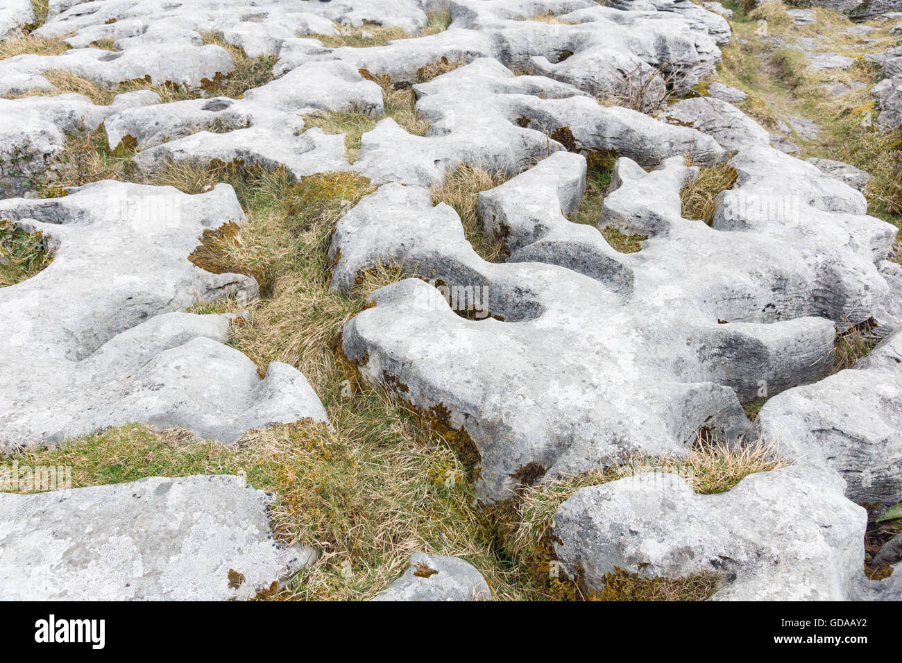 Irlanda, County Clare, illeggibili pavimento in pietra, Poulnabrone Dolmen Foto Stock