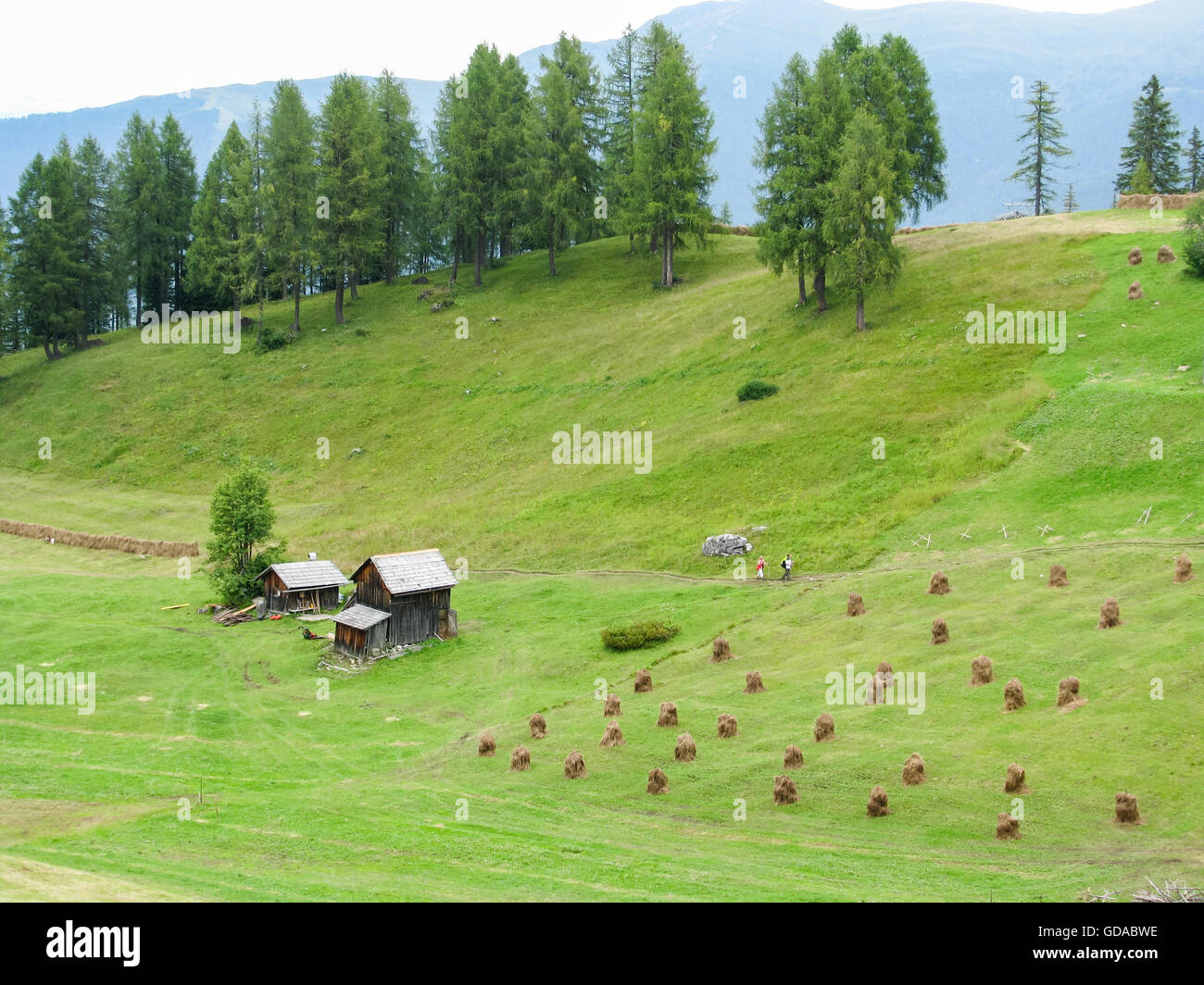 L'Italia, Trentino Alto Adige, Dolomiti Sextener, multi-giorno escursione, Rotwandwiese, sul Rotwandwiese Foto Stock