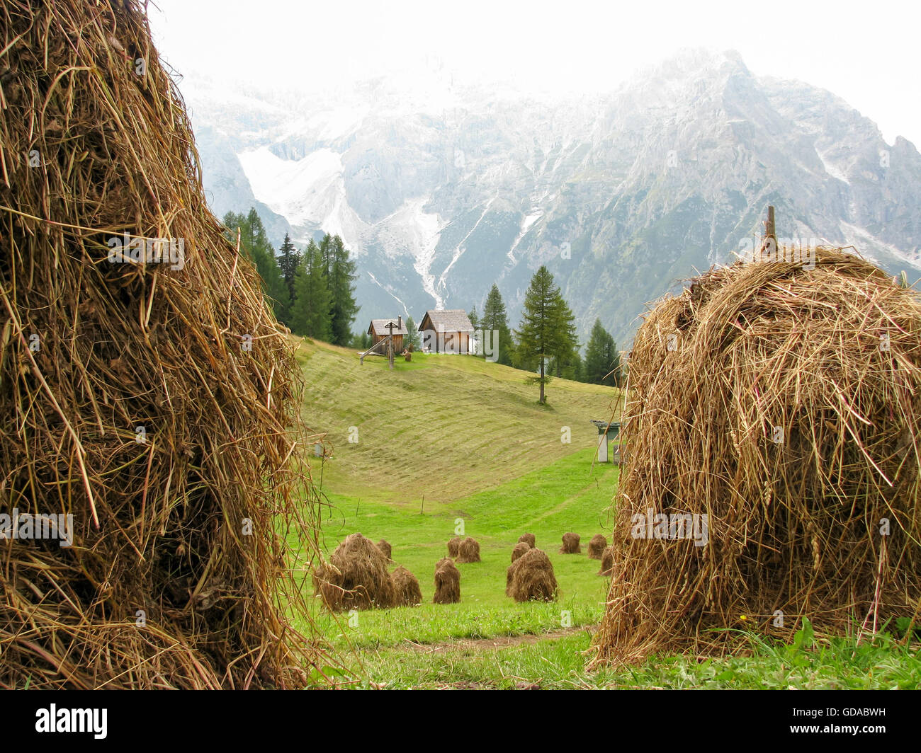 L'Italia, Trentino Alto Adige, Dolomiti Sextener, multi-giorno escursione, le balle di paglia sulla Rotwandwiese, sul Rotwandwiese Foto Stock