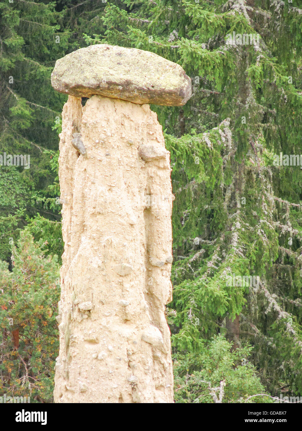 L'Italia, Trentino Alto Adige, Brunico, piramide di terra nella parte anteriore di una foresta di pini, piramidi di terra nei pressi di lastre vicino a Brunico Foto Stock