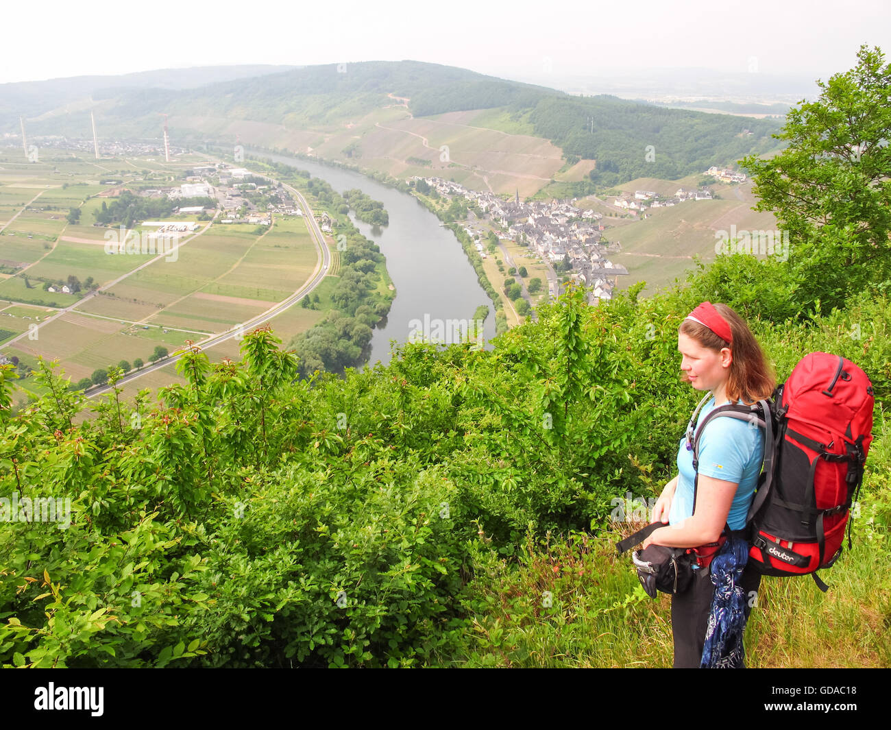 In Germania, in Renania Palatinato, Zeltingen-Rachtig, sul Mosel sentiero ripido, escursionista si gode della vista sulla vallata del fiume e vigneti in retro Ürzig Foto Stock