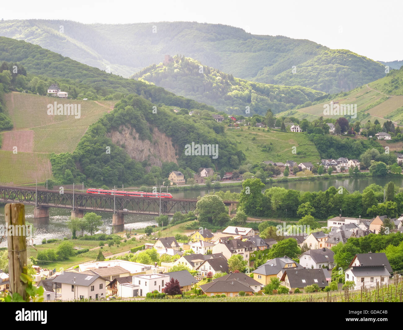 In Germania, in Renania Palatinato, Zell (Mosella), Sul Mosel sentiero ripido, ponte levatoio con treno oltre il fiume e vigneti Foto Stock