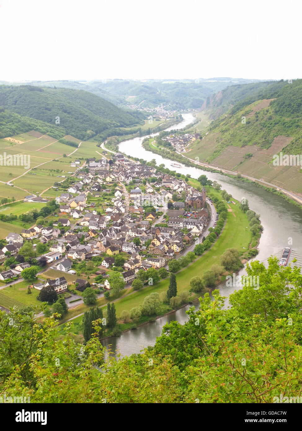 In Germania, in Renania Palatinato, Bruttig-Fankel, sul Mosel ripido percorso, lungo la valle del fiume tra vigneti, fiume con villaggio e vigneti Foto Stock