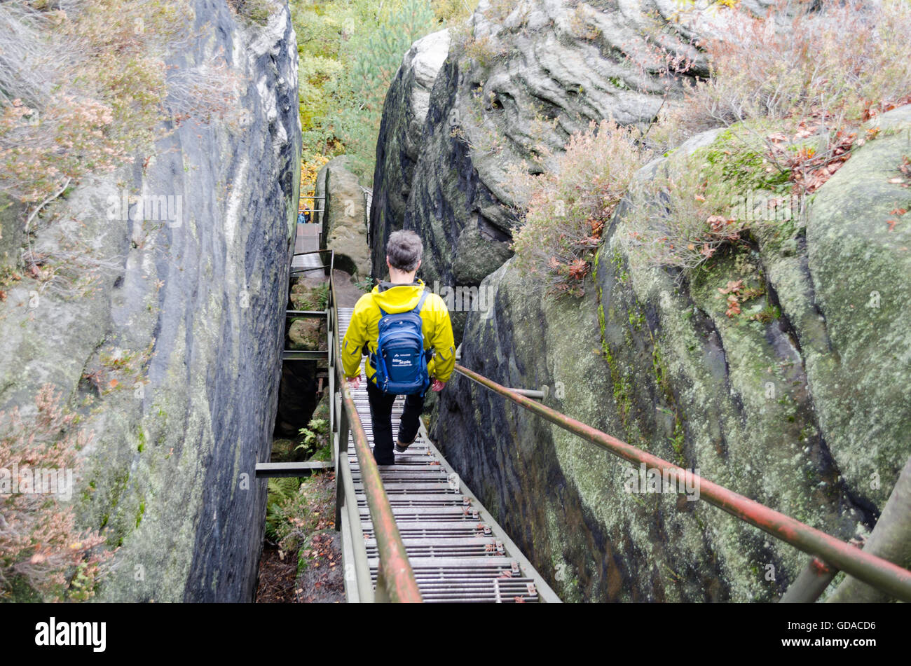 In Germania, in Sassonia, Svizzera Sassone, escursione da Wehlen oltre l'Rauensteine, discesa scale, Rauensteine, Gratweg Foto Stock