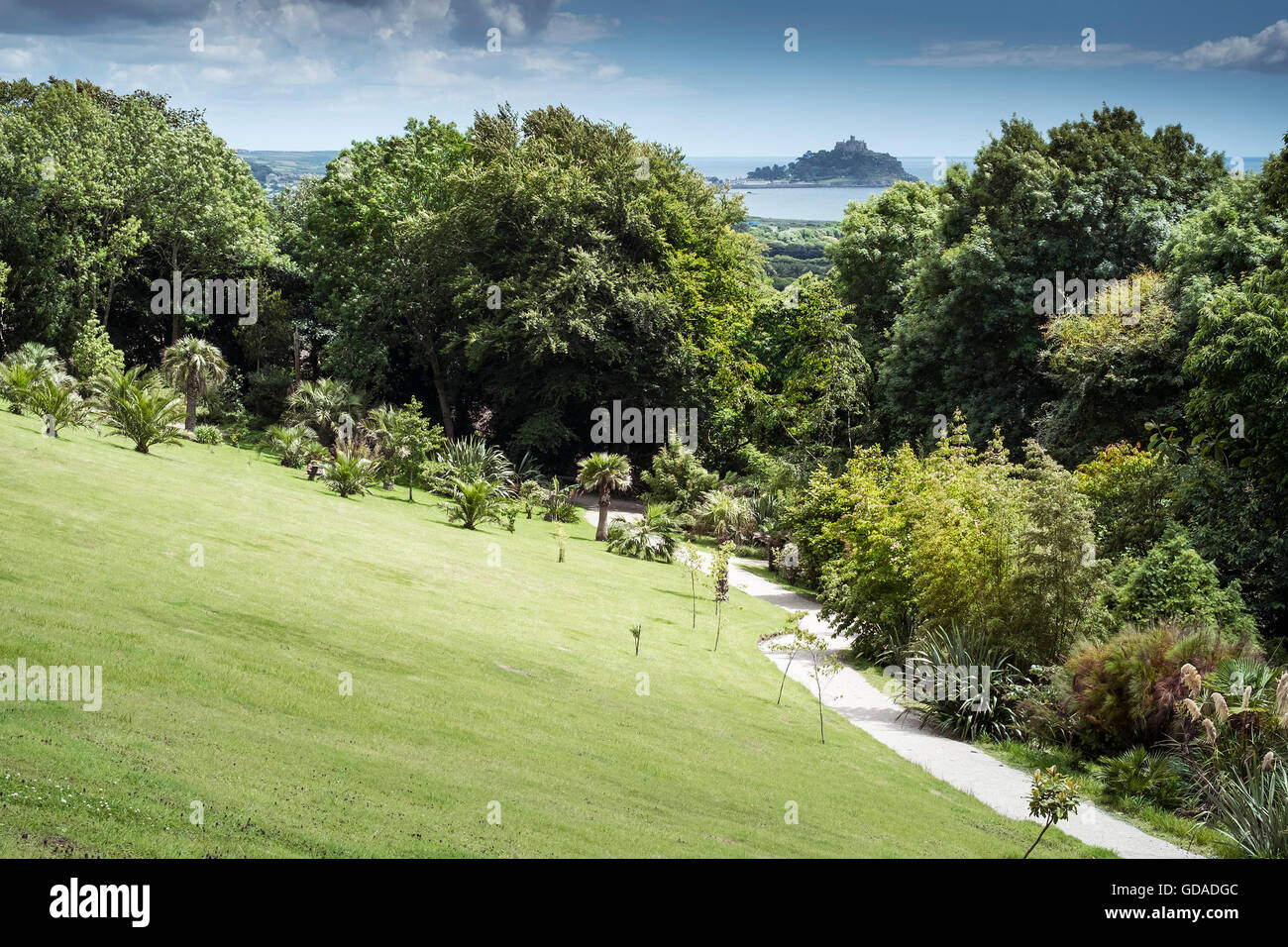 Una vista spettacolare di St Michaels Mount da Tremenheere giardini di scultura in Cornovaglia. Foto Stock