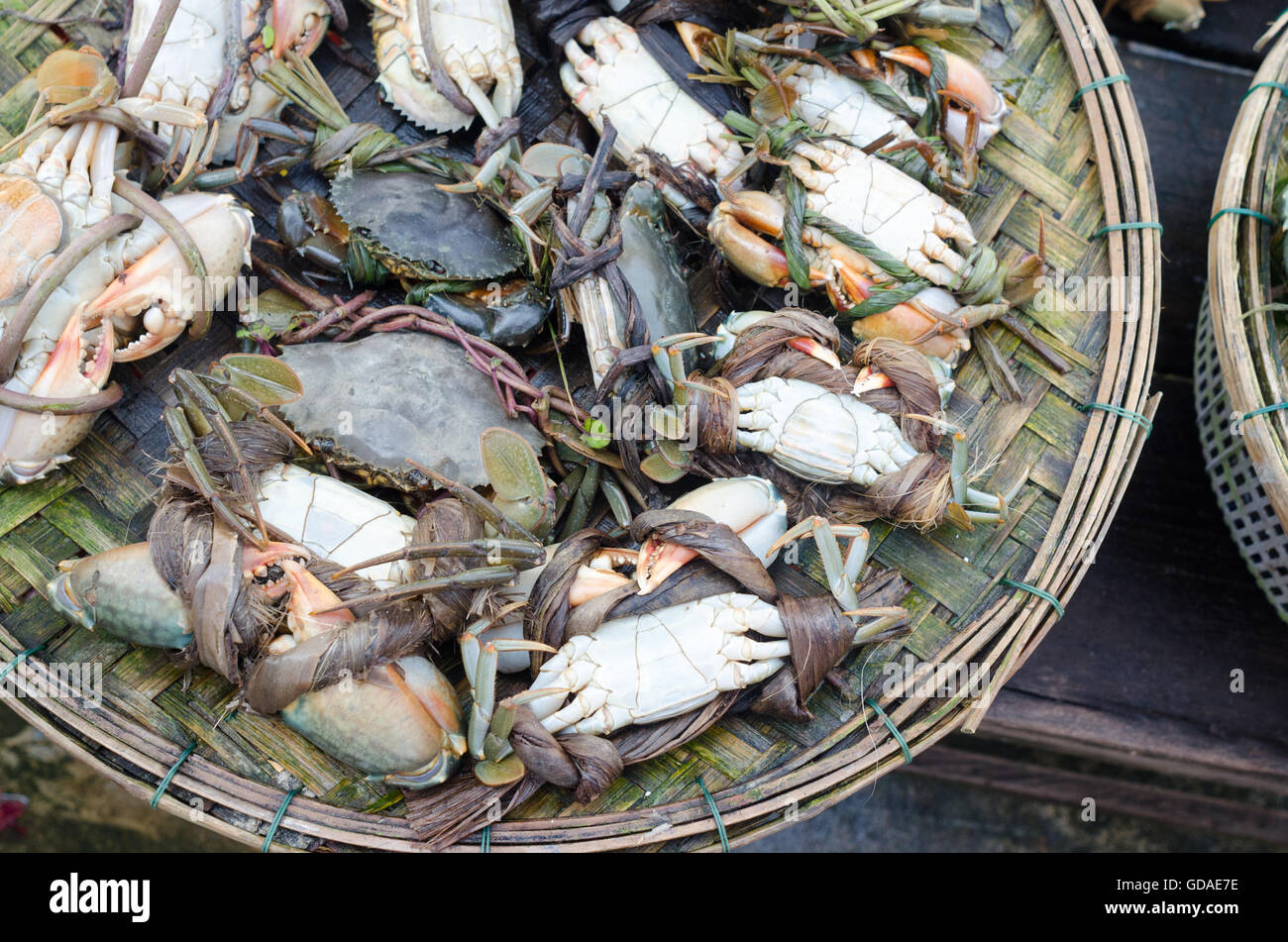 Il Vietnam, Quang Nam Hoi An, granchi in un cestello, ad Hoi An Foto Stock