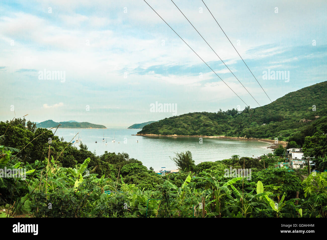 Lussureggiante verde spiaggia con piante tropicali sull'Isola di Lantau, Hong Kong Foto Stock