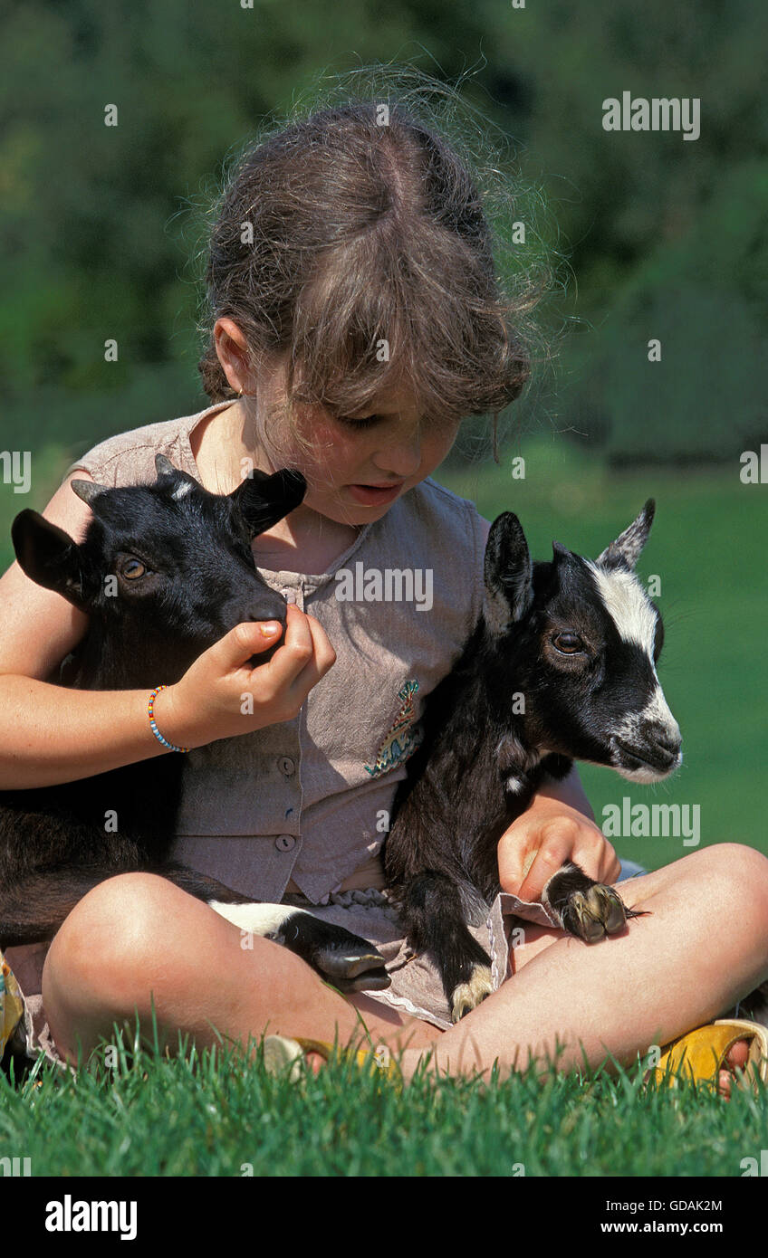 Ragazza con capre pigmee Foto Stock