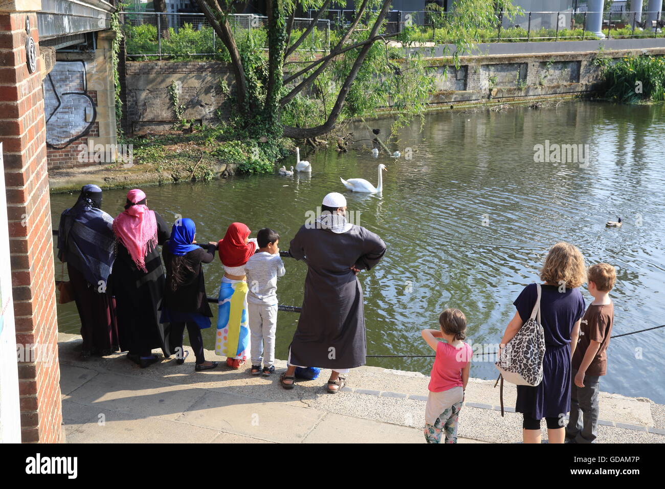 Un multi gruppo etnico guardando i cigni su Regents Canal da York Way, vicino a Kings Cross, a nord di Londra, Inghilterra, Regno Unito Foto Stock