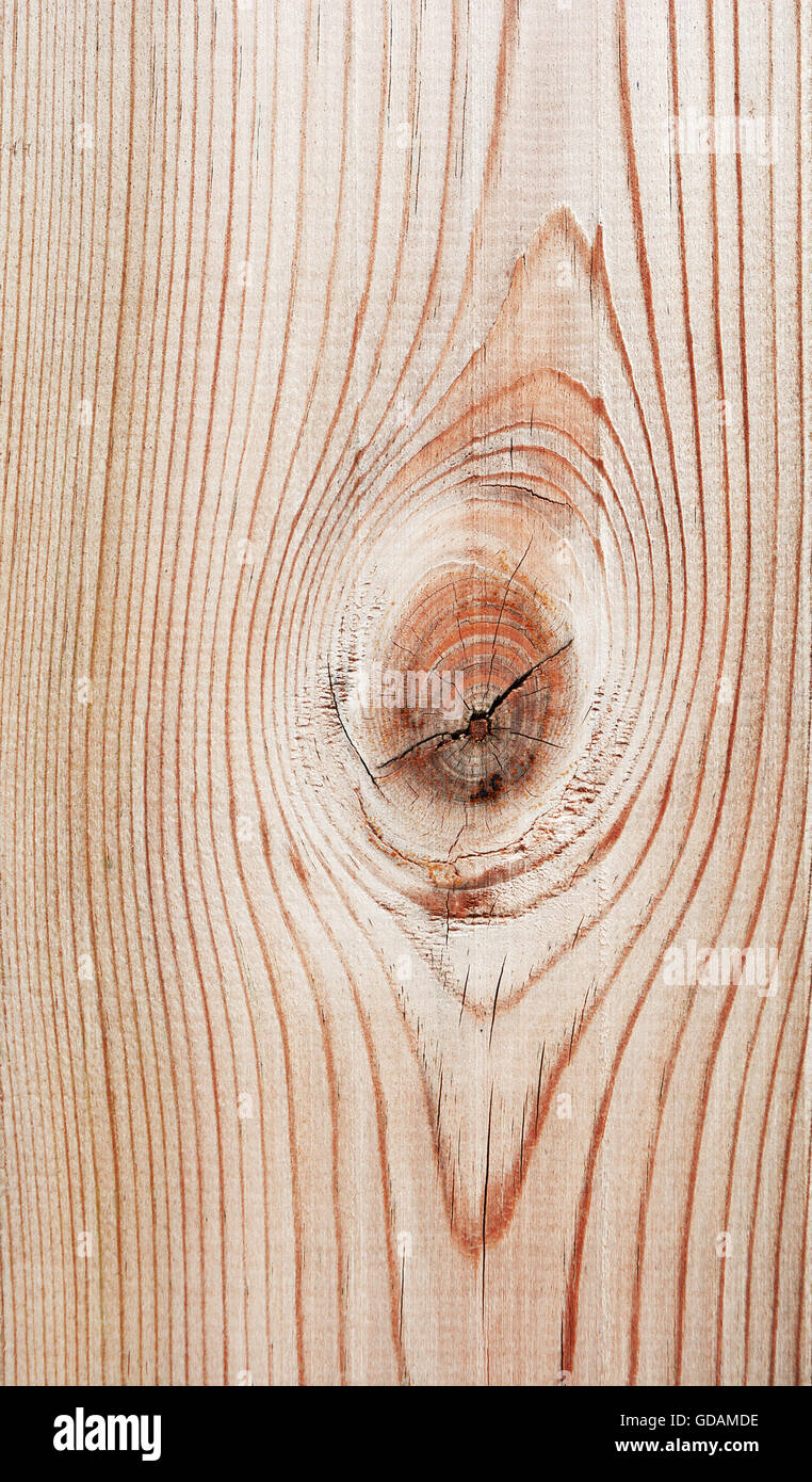 In legno marrone chiaro consistenza adatta per lo sfondo. Foto Stock