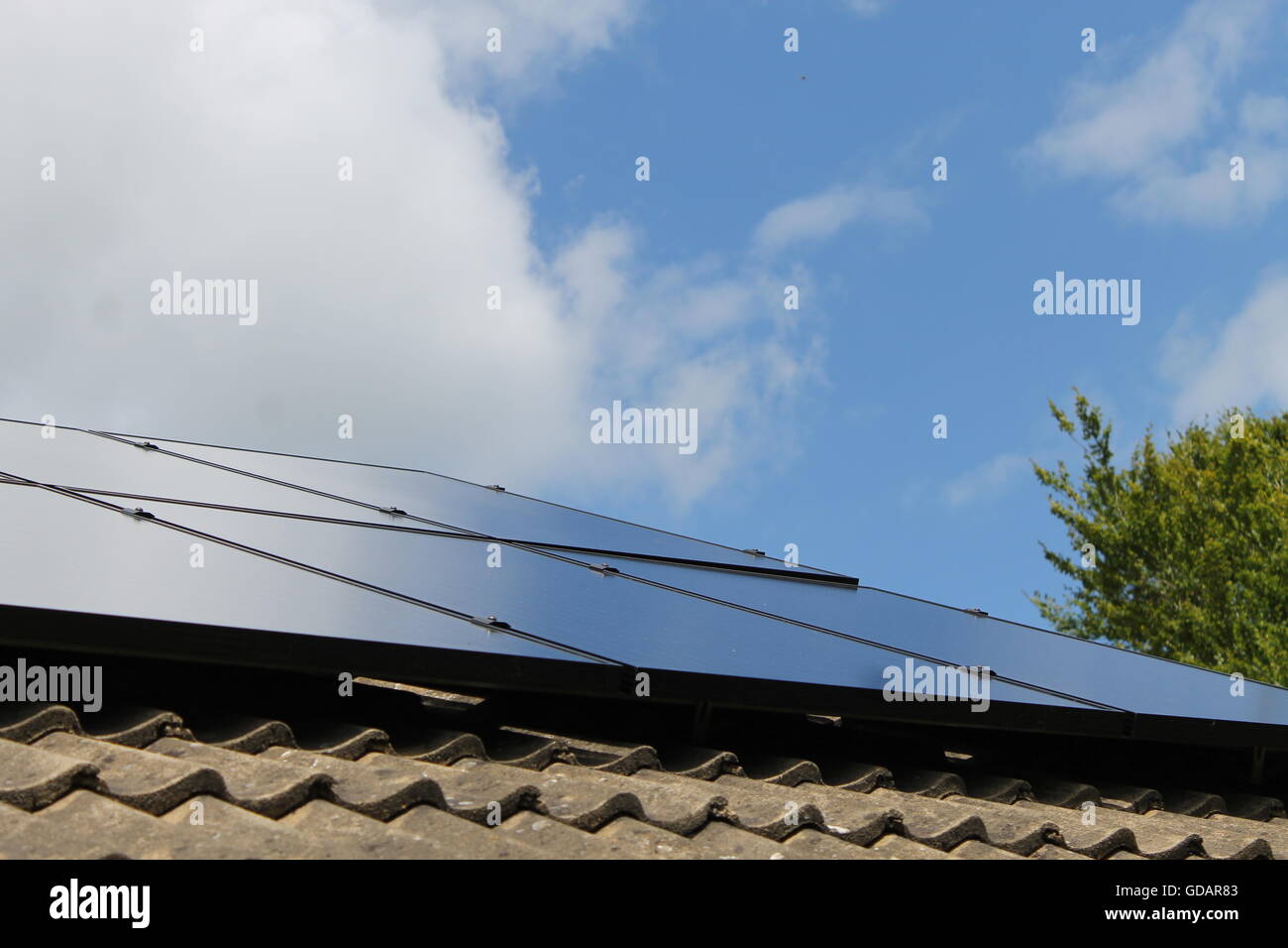 Pannelli solari, bungalow tetto, energia solare, quattro marchi, Hampshire Foto Stock