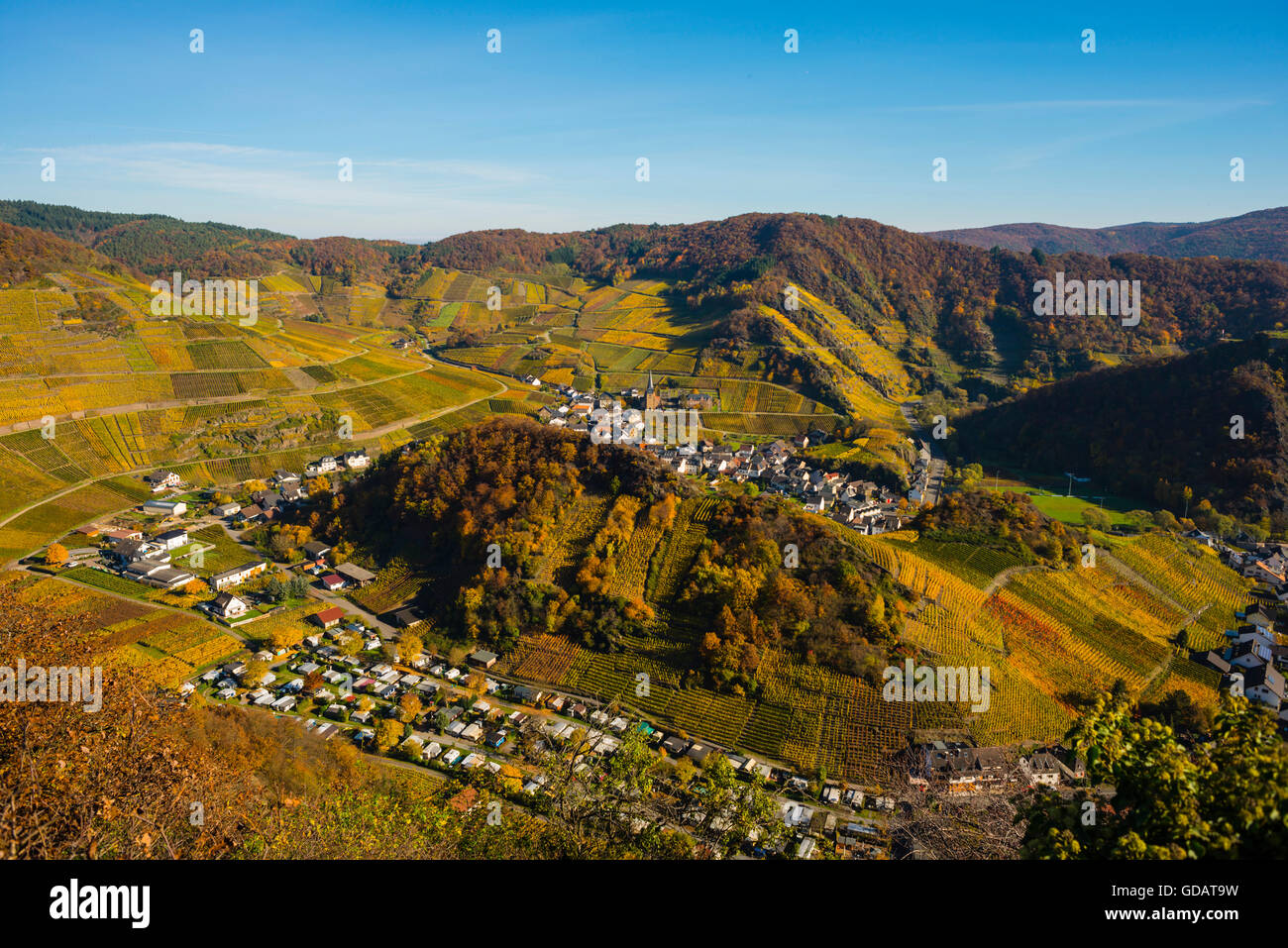 Di Ahrtal,coltura,germania,Eifel,l'Europa,autunno,autumnal,l'agricoltura,Mayschoss,pianta utile,chiesa parrocchiale,San Nicola Foto Stock