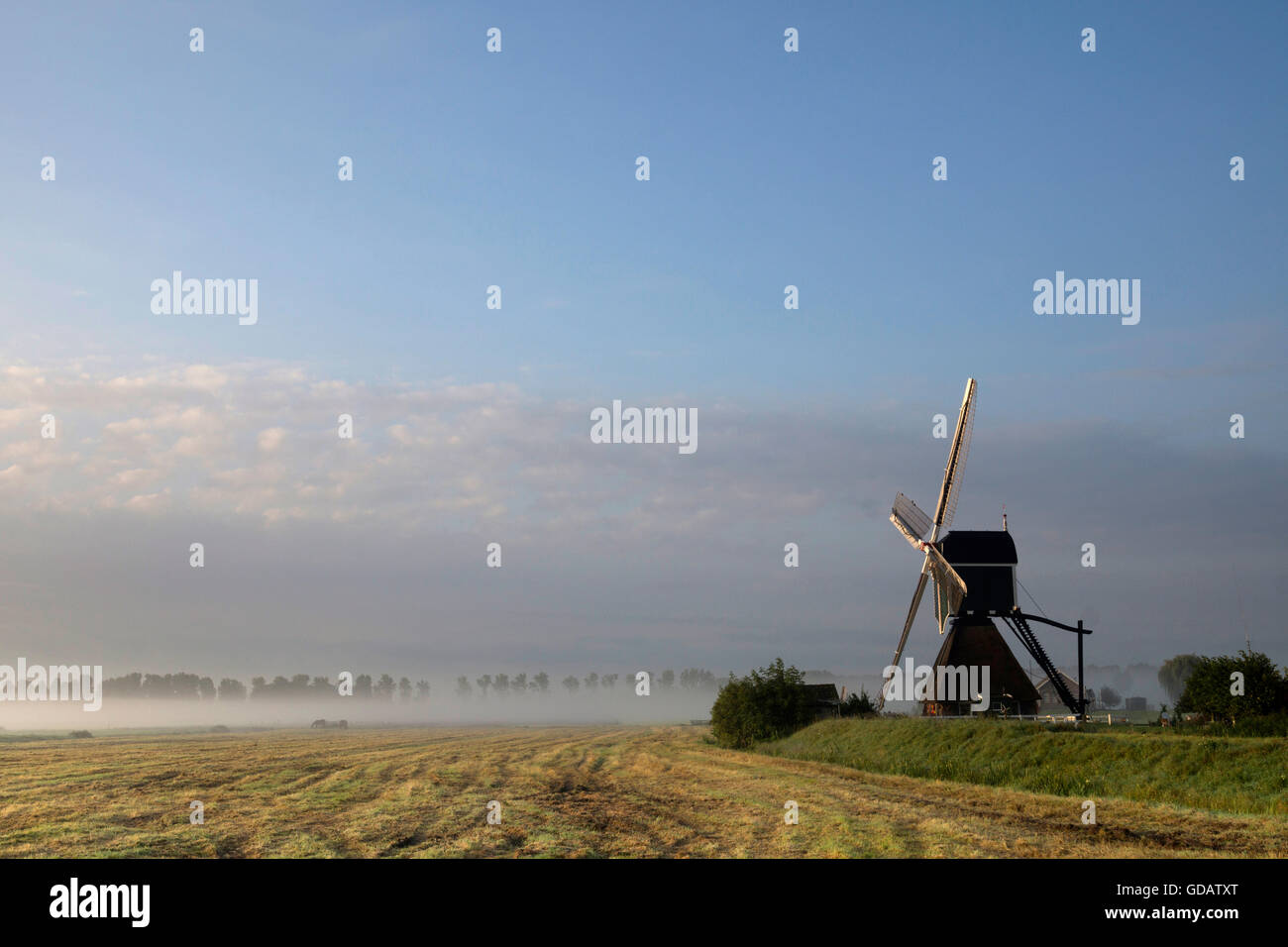 Il mulino Wingerdse vicino Bleskensgraaf nella regione olandese Alblasserwaard Foto Stock