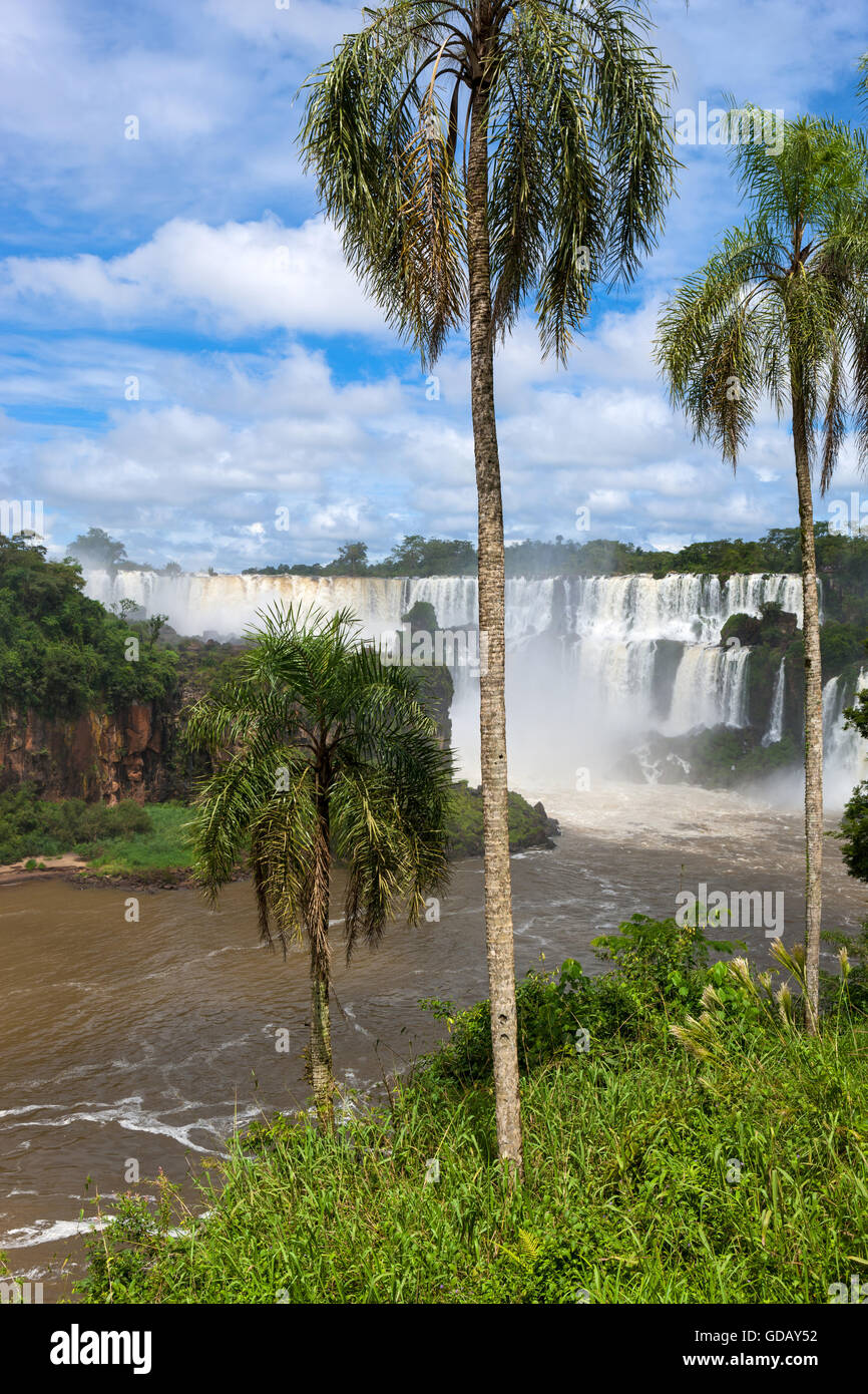 Cascate di Iguassù,Argentina Foto Stock