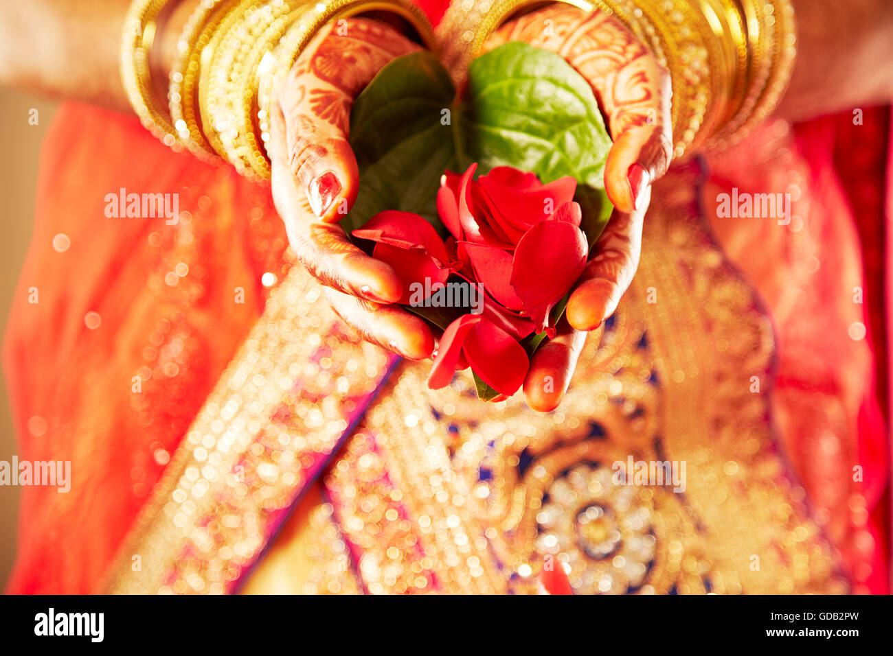 1 indian donna adulta sposa Mandap petalo di fiore a mani cupped Foto Stock 1 indian donna adulta sposa Mandap petalo di fiore a mani cupped Foto Stock