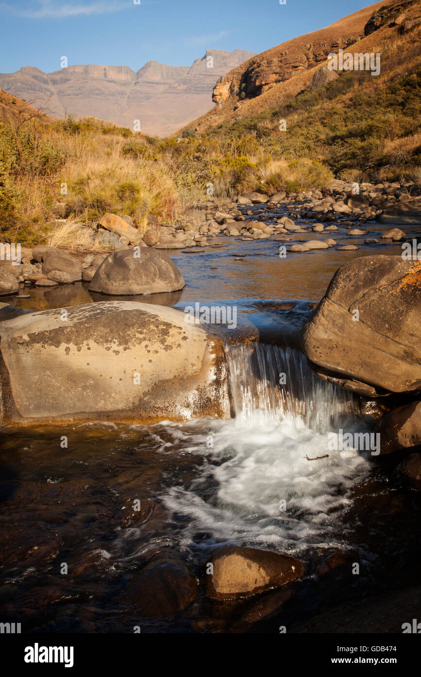 Il Busman il fiume che scorre attraverso il gigante del castello di sezione del Drakensberg uKhahlamba-World Heritage Park, Sud Africa. Foto Stock
