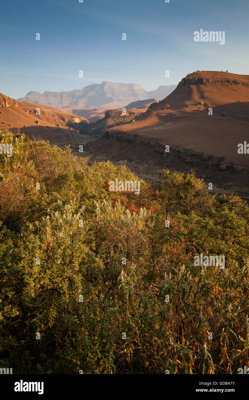 Una vista giù per la valle a Giant's Castle nel Drakensberg Mountain National Park, Sud Africa. Foto Stock