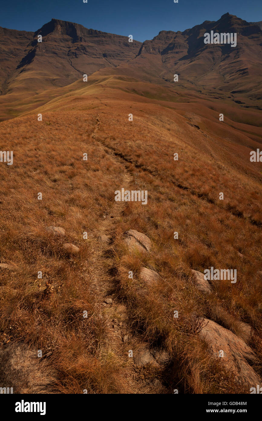 Un sentiero che conduce fino alla montagna nel Drakensberg uKhahlamba-World Heritage Park, Sud Africa. Foto Stock
