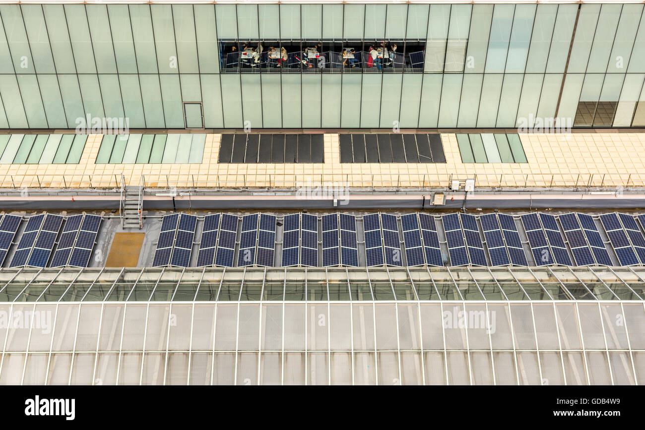 Dalla piattaforma di osservazione sul livello 10 del Tate Modern prolunga interruttore aperto nel giugno 2016, il tetto dell'edificio principale. Foto Stock
