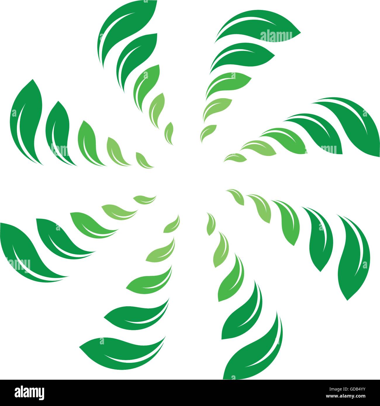 Organico vettore isolato cerchio verde logo. Foglie natura confine. Green sun. Estate elemento di design. Molla concetto d'arte. Il logo biologico. Illustrazione Vettoriale