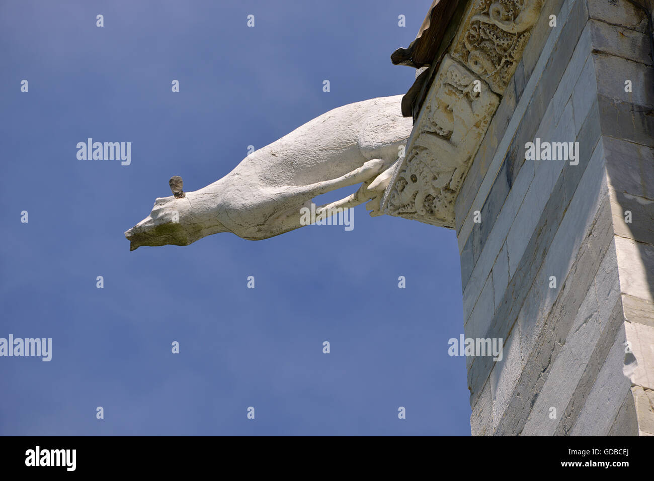 Dettaglio gargoyle del Duomo di Pisa è una città in Toscana, Italia centrale, Foto Stock