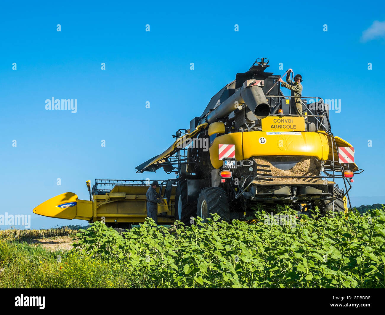 Pulizia di New Holland mietitrebbia - sud-Touraine, Francia. Foto Stock