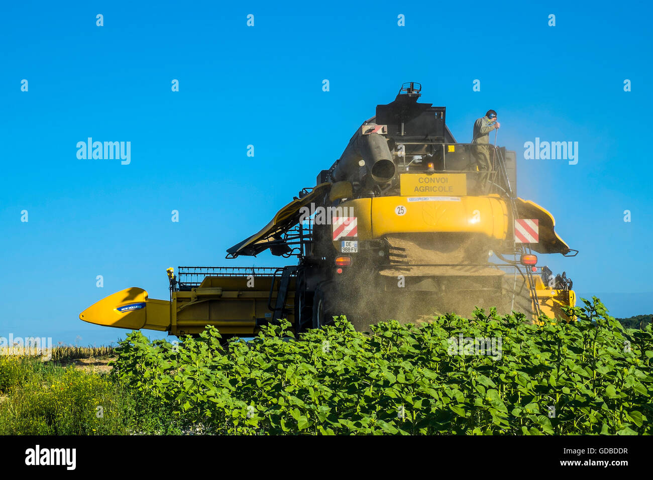 Pulizia di New Holland mietitrebbia - sud-Touraine, Francia. Foto Stock